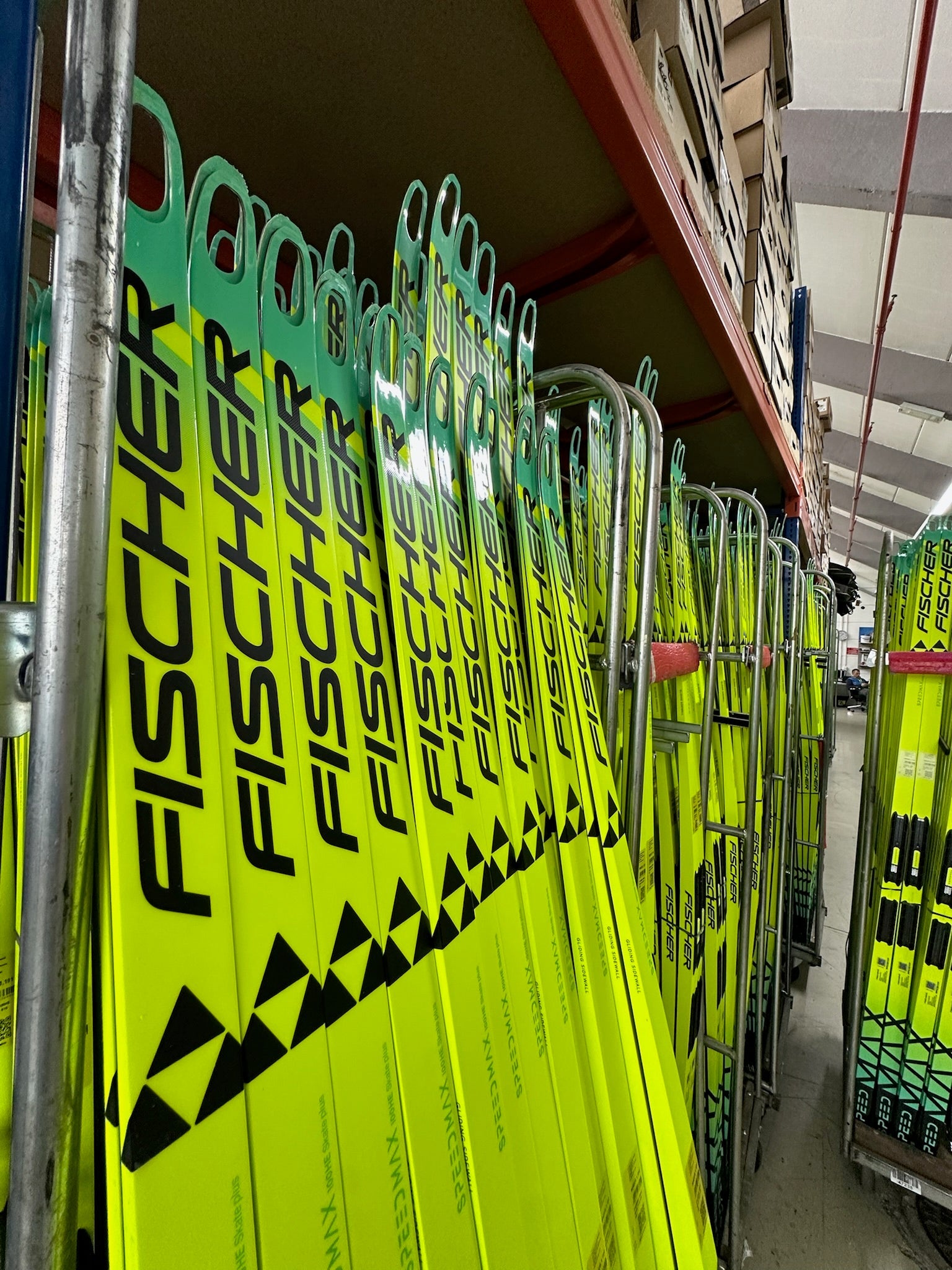 Fischer Race Ski lineup Preview 2025/26