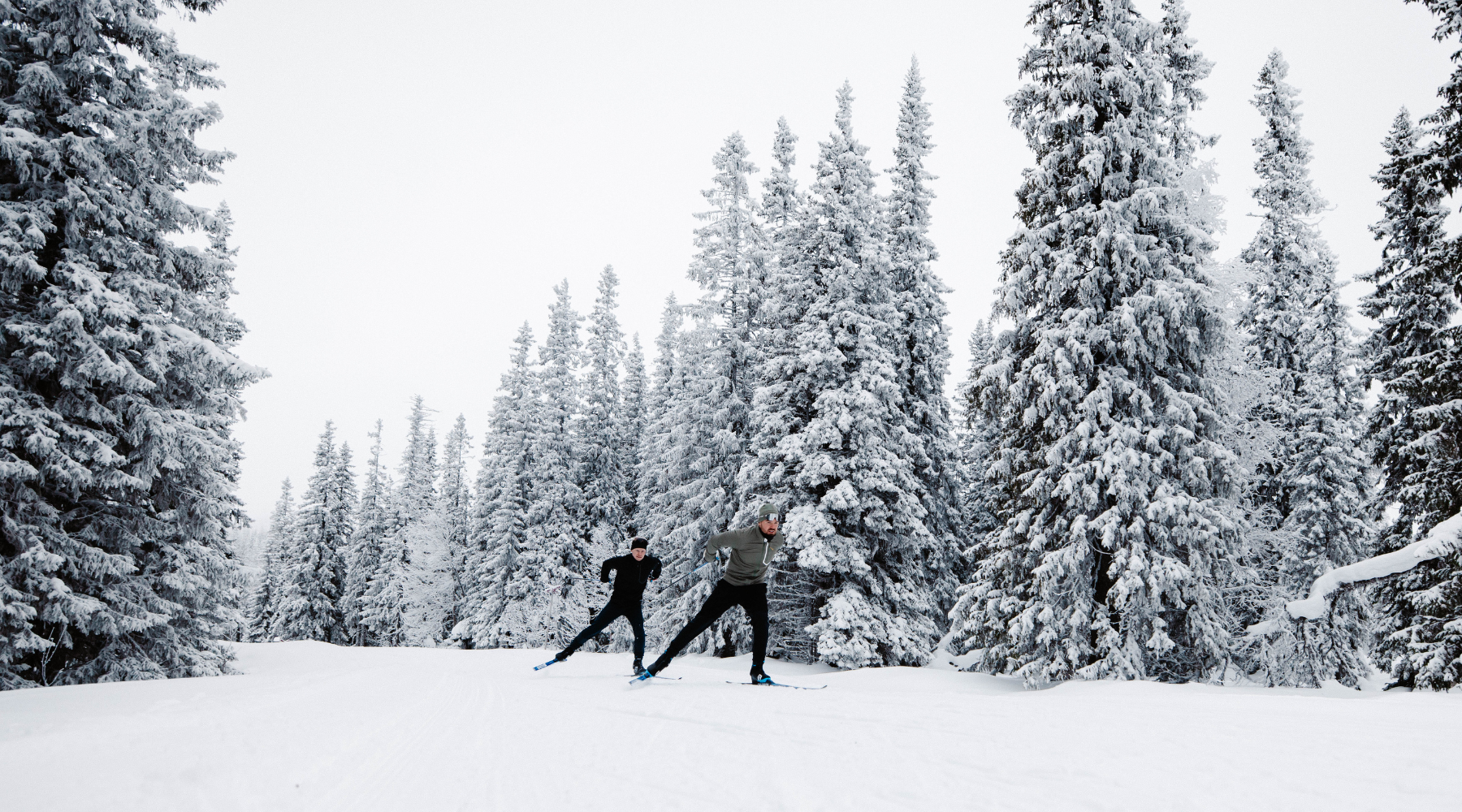 Cross Country Skiing Equipment Guide