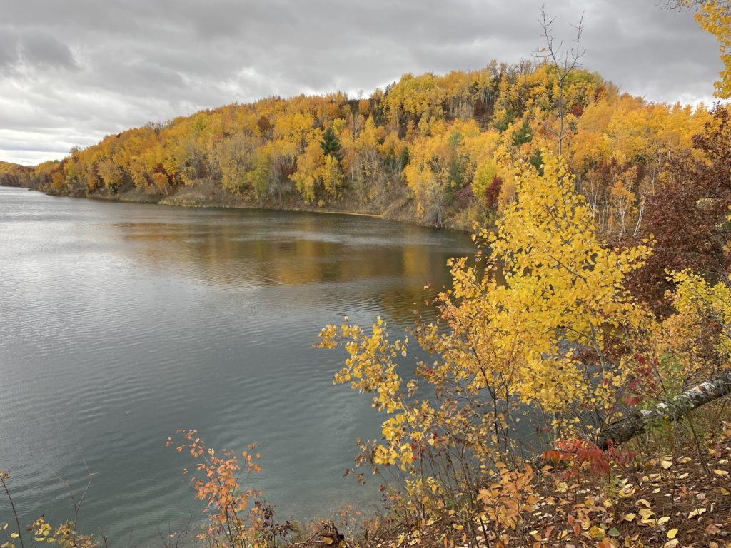 Fall Dryland Training Tips w/ Kim Rudd