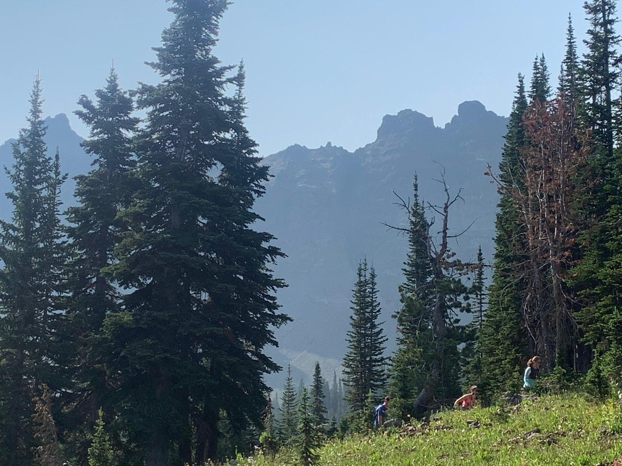 Adventures from the Coach - Bozeman Altitude Camp - Pioneer Midwest