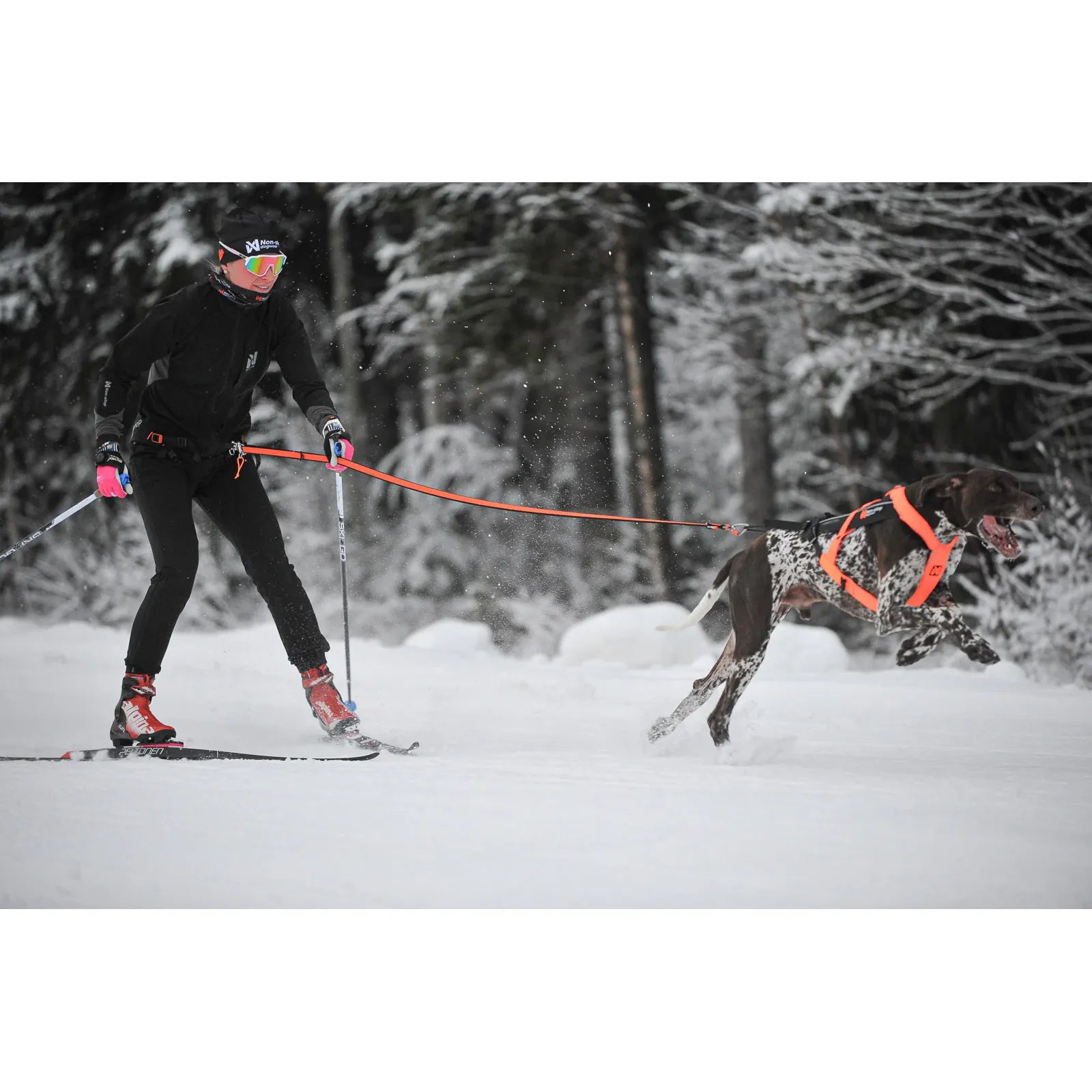 Non-stop Dogwear Loype Belt Pro