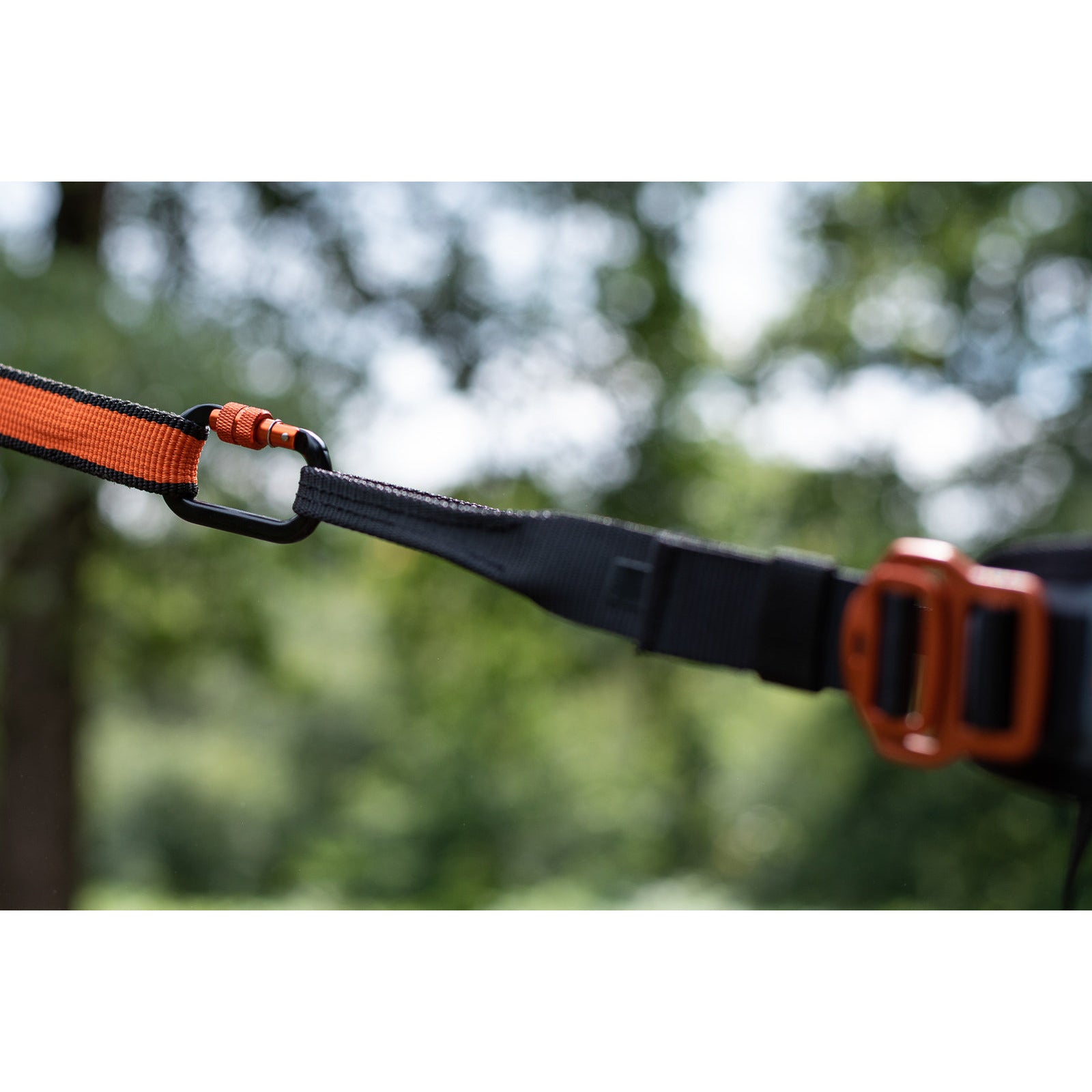 Non-stop Dogwear CaniX Belt