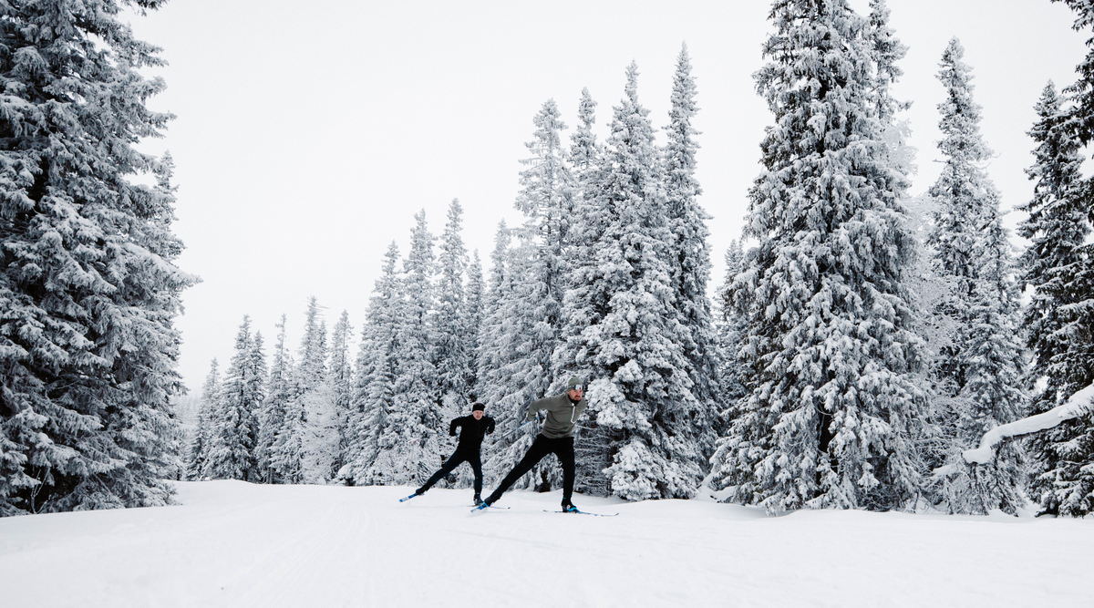 Cross Country Skiing Equipment Guide