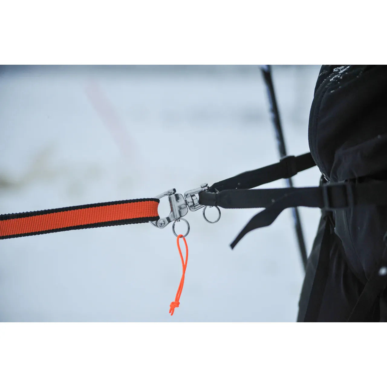 Non-stop Dogwear Loype Belt Pro