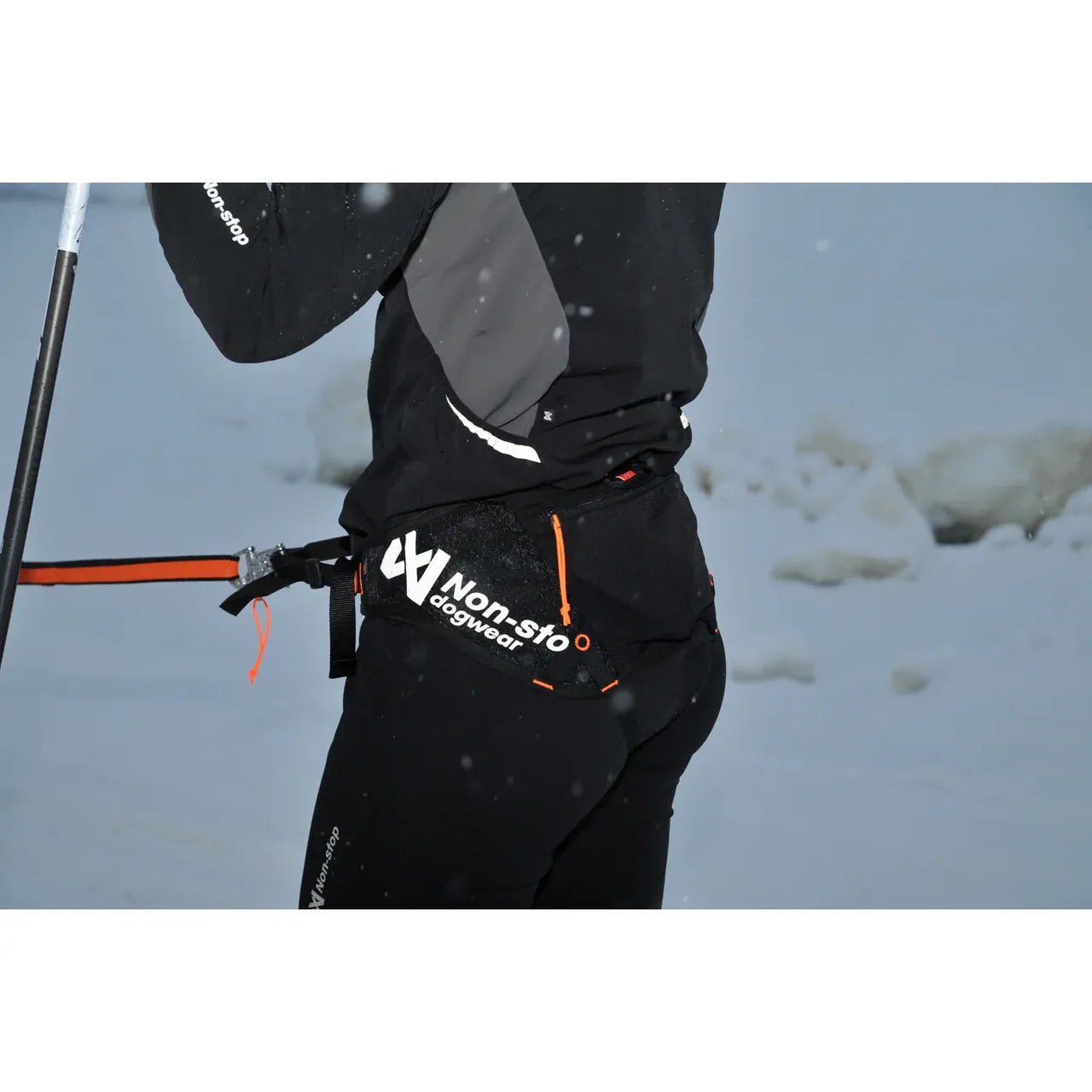 Non-stop Dogwear Loype Belt Pro