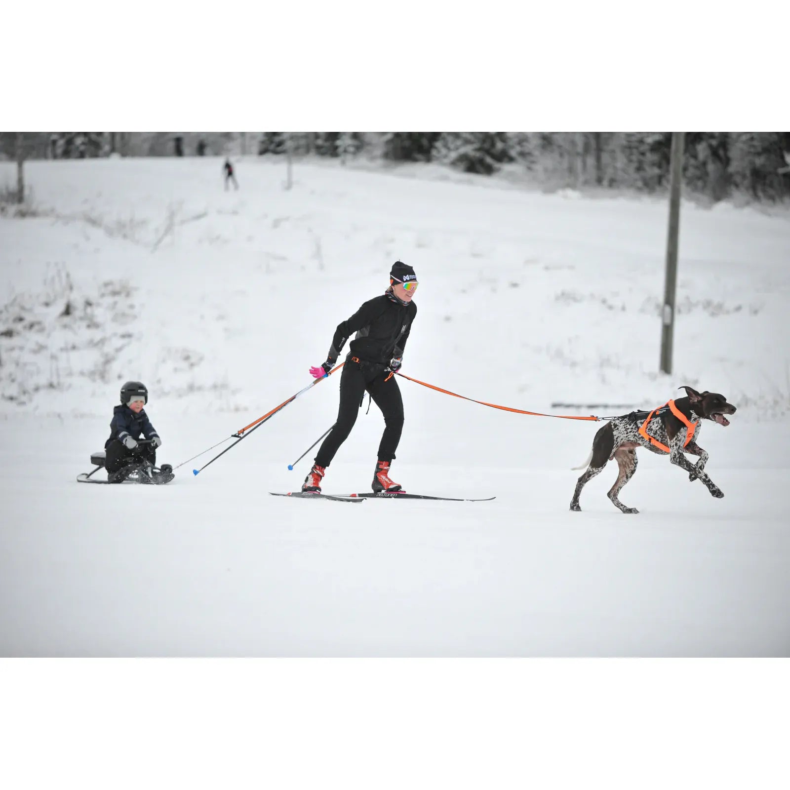 Non-stop Dogwear Loype Belt Pro