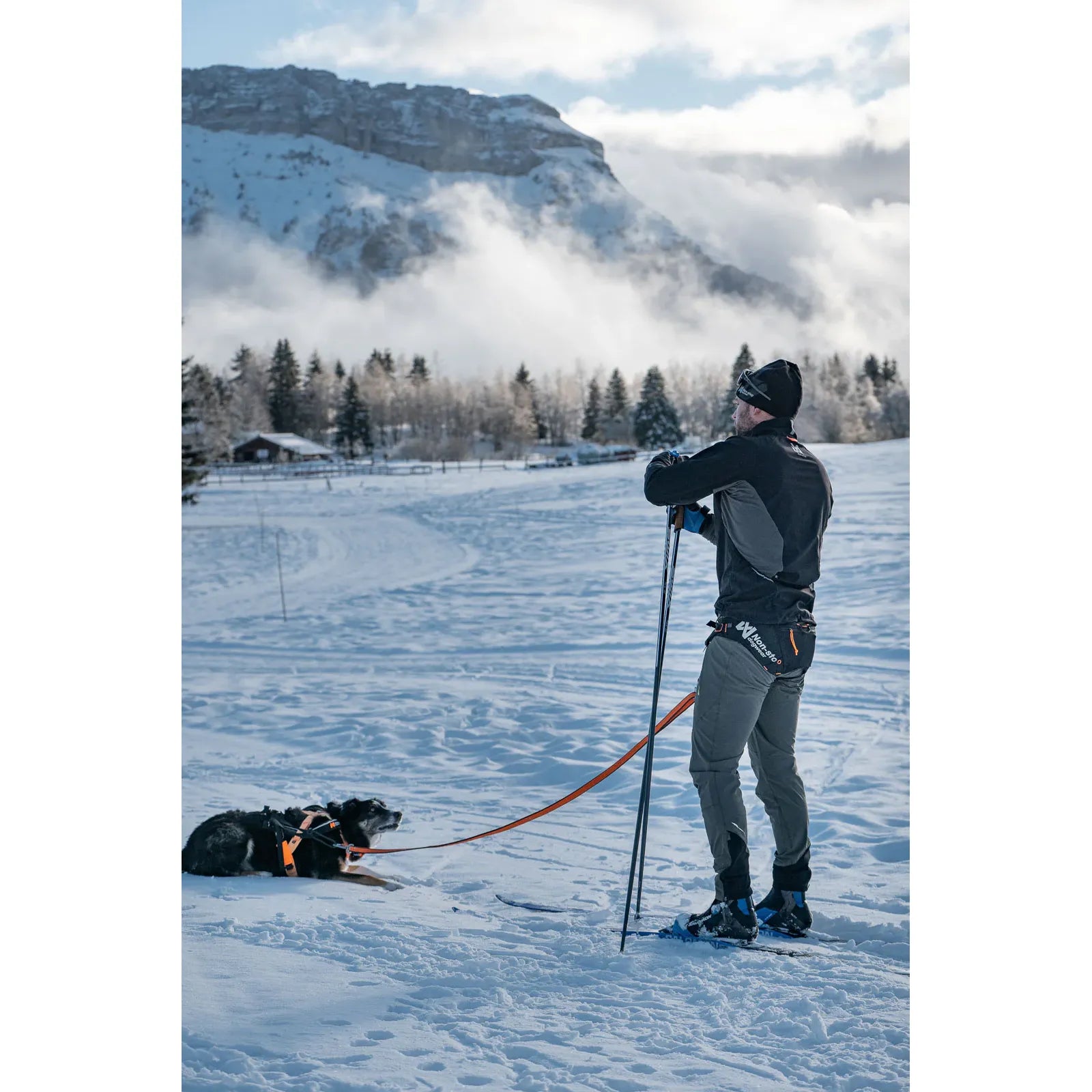 Non-stop Dogwear Loype Belt Pro